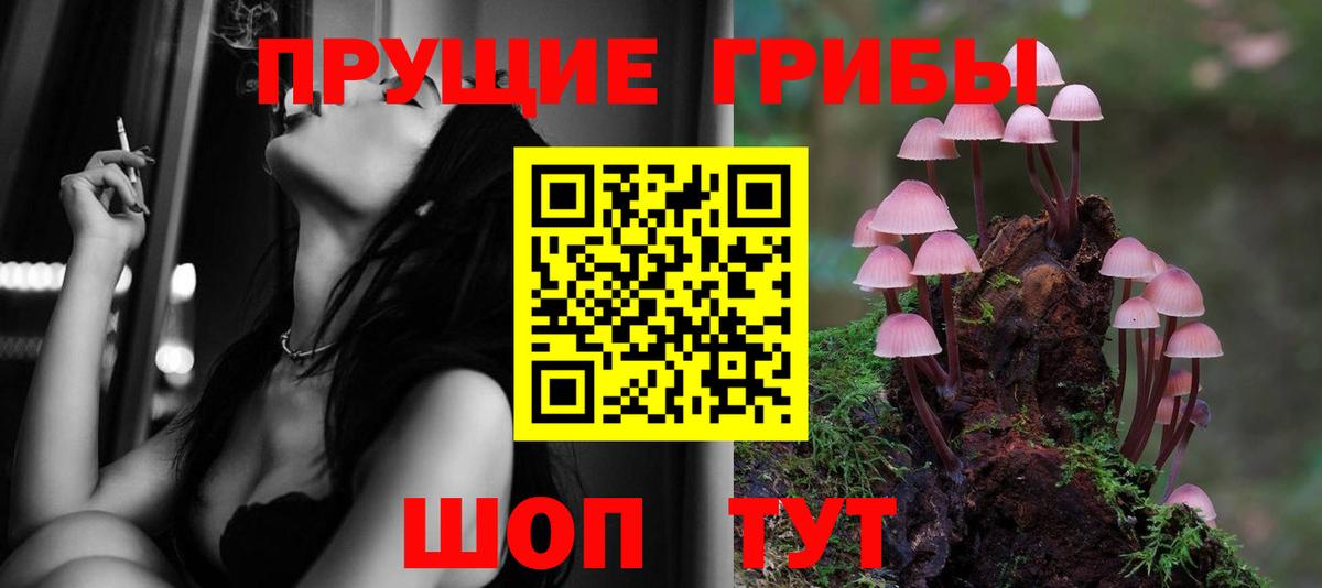 Амурск  Псилоцибиновые грибы Psilocybine cubensis  Вход с VPN 