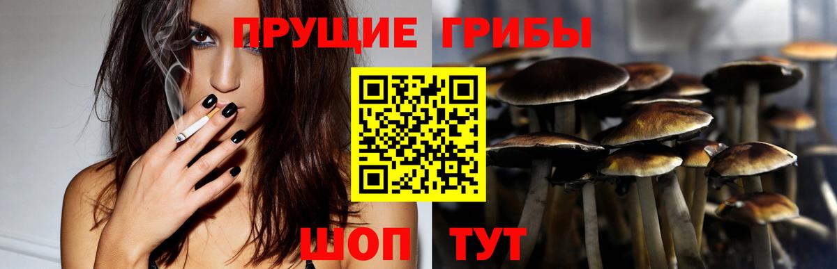 Псилоцибиновые грибы мухоморы Амурск